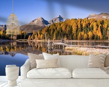 Golden autumn at the Stazersee in Engadine by Achim Thomae Photography
