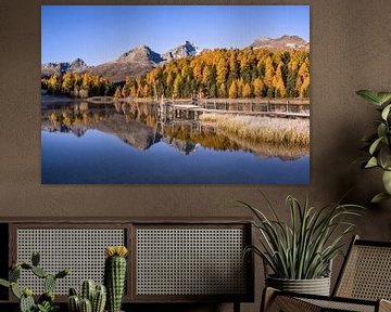 Gouden herfst aan het meer van Staz in het Engadin van Achim Thomae