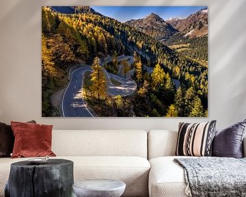 Un automne doré au col de la Maloja sur Achim Thomae