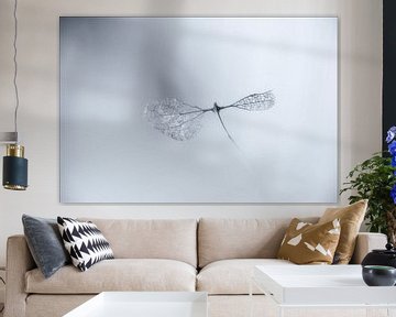 Spread your wings and fly away by Pieter van Roijen