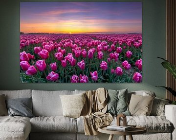 Champ de tulipes au lever du soleil dans le Noordoostpolder sur Fotografie Ronald