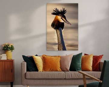 Oiseaux - Portrait de grèbe huppé 1 sur Servan Ott
