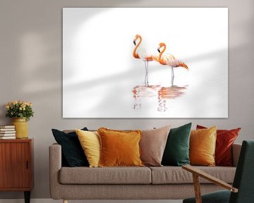 Flamingo's van Milou Hinssen