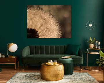 Warm brown and champagne tones: Gorgeous light through a ball of fluff by Marjolijn van den Berg