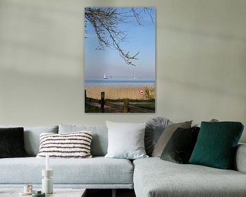 Sailing boats on the IJsselmeer by Monica de Roo-Peeters