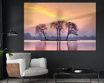 Reeuwijkse plassen. van Richard Nell