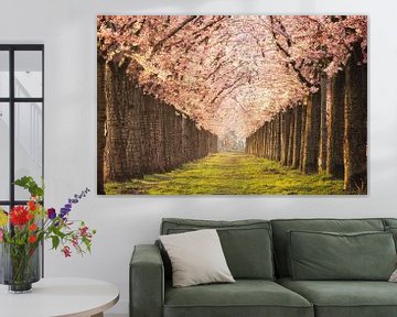 Cherry Blossom Almere. sur Richard Nell