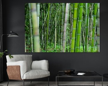 Verse groene bamboe bos van Chihong