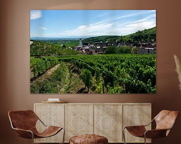 Vineyards in Alsace by Ronn Perdok