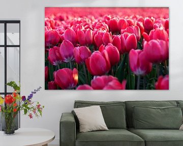 tulpen roze van Henriette Tischler van Sleen