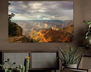 Amazing Grand Canyon van Ilya Korzelius