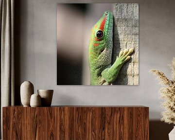 Portrait de gecko sur Nout Ketelaar