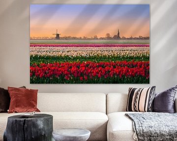 Dutch tulips by Wilco Bos