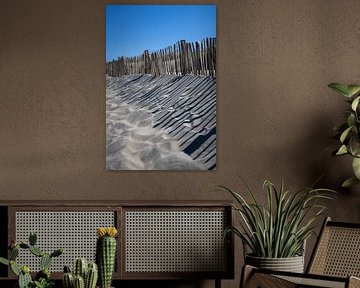 Shadow of Poles on the Beach of Monster by Kim Van Uuden