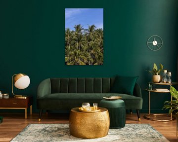 Palmbomen | Tropische vibes | Puerto Escondido | Mexico van Kimberley Helmendag