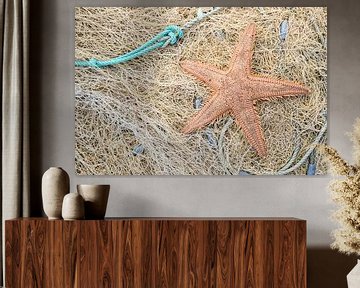 Starfish on fishing net by Bram Conings