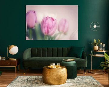 Tulpen roze in volle bloei van Consala van  der Griend