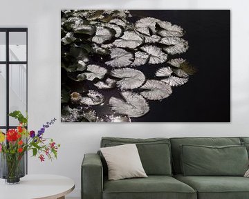 Seerosenblätter im Wasser (fast abstraktes Foto in Schwarz und Silber von Seerosenblättern im Wasser von Birgitte Bergman