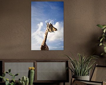 Giraffe vs hollandse lucht von Gwen Mustamu