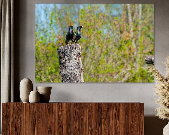 Voorbeeld van het werk in een kamer