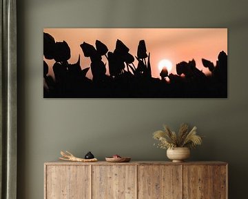 Silhouette of tulips during sunset by Rick Ouwehand