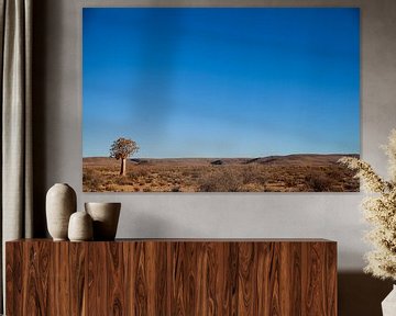 Landschap met eenzame kokerboom in Namibië van Simone Janssen