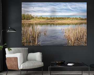 Bos landschap met water en mooie weerspiegeling van Lisette Rijkers