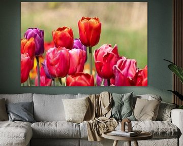 bunt,Tulpen von Hilda booy