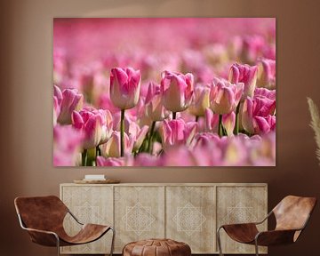 pink tulips van Hilda booy