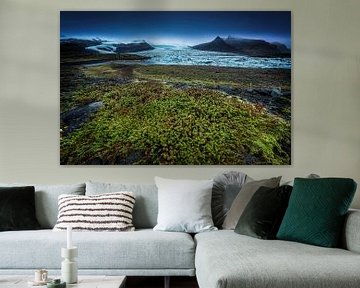 Lichen en mos op de gletsjer in IJsland van Voss Fine Art Fotografie