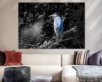 Blauwe reiger op een boom (achtergond zwartwit)) van Chihong