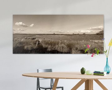 Impression panoramique du Dwingelderveld sur Humphry Jacobs