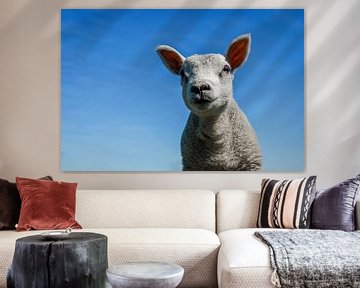 Cute lamb against the blue sky by KiekLau! Fotografie