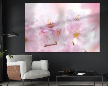 Pink blossom branch by Bianca de Haan