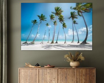 Palm Beach in de Dominicaanse Republiek / Caribisch gebied. van Voss fotografie