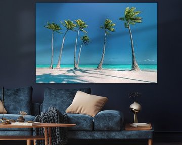 Strand met palmbomen in de Dominicaanse Republiek / Caribisch gebied. van Voss Fine Art Fotografie