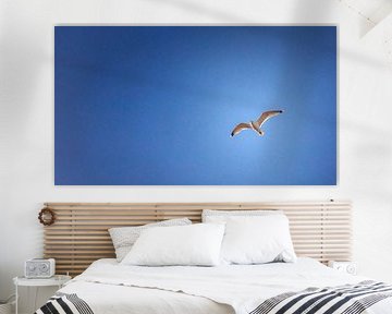 Wind unter den Flügeln