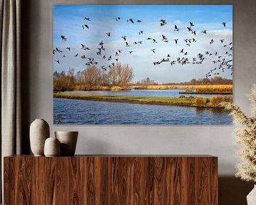 Flight of geese at Eernewoude by Hanneke Luit