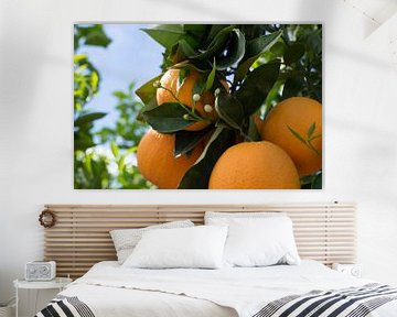 Bloeiende sinaasappelboom met witte knoppen van Montepuro