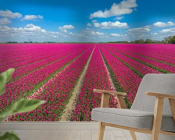 Pink tulips blooming in a field of flowers during springtime by Sjoerd van der Wal Photography