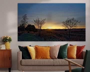 Sonnenuntergang in der Asselseer Heide