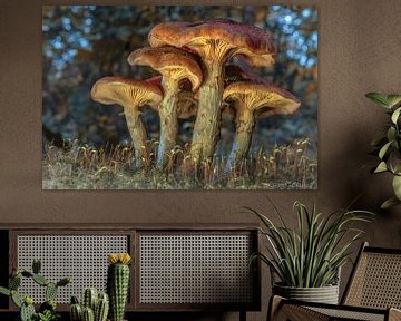 Pilze im Wald in einer magischen Atmosphäre von Marcel Kieffer