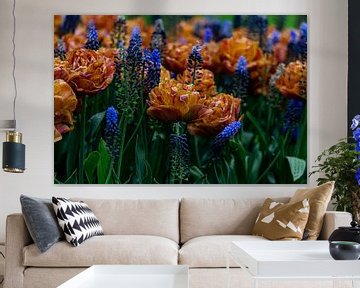 vooraanzicht van oranje tulpen en blauwe bloemen van Saskia S