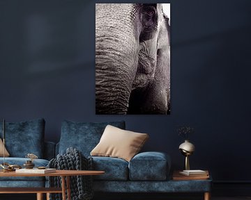 Elefant von Gwen Mustamu