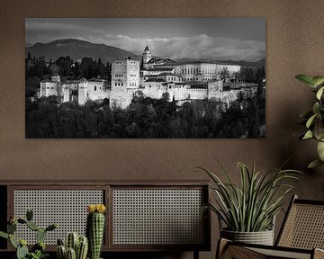 Het Alhambra in zwart-wit van Henk Meijer Photography