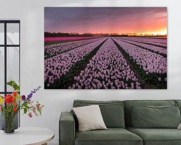 Tulpenveld tijdens prachtige zonsondergang van KB Design & Photography (Karen Brouwer)