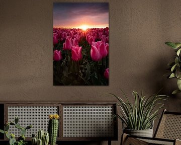 Bedrohlicher Himmel über Tulpen bei Sonnenuntergang von KB Design & Photography (Karen Brouwer)