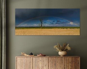 Rainbow by René Vos