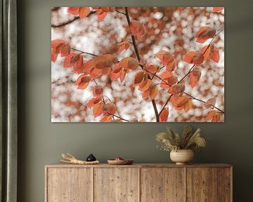Warme Herbstfarben im Wald von Piekfotografie