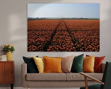 Een veld met roodgele tulpen van Gerard de Zwaan